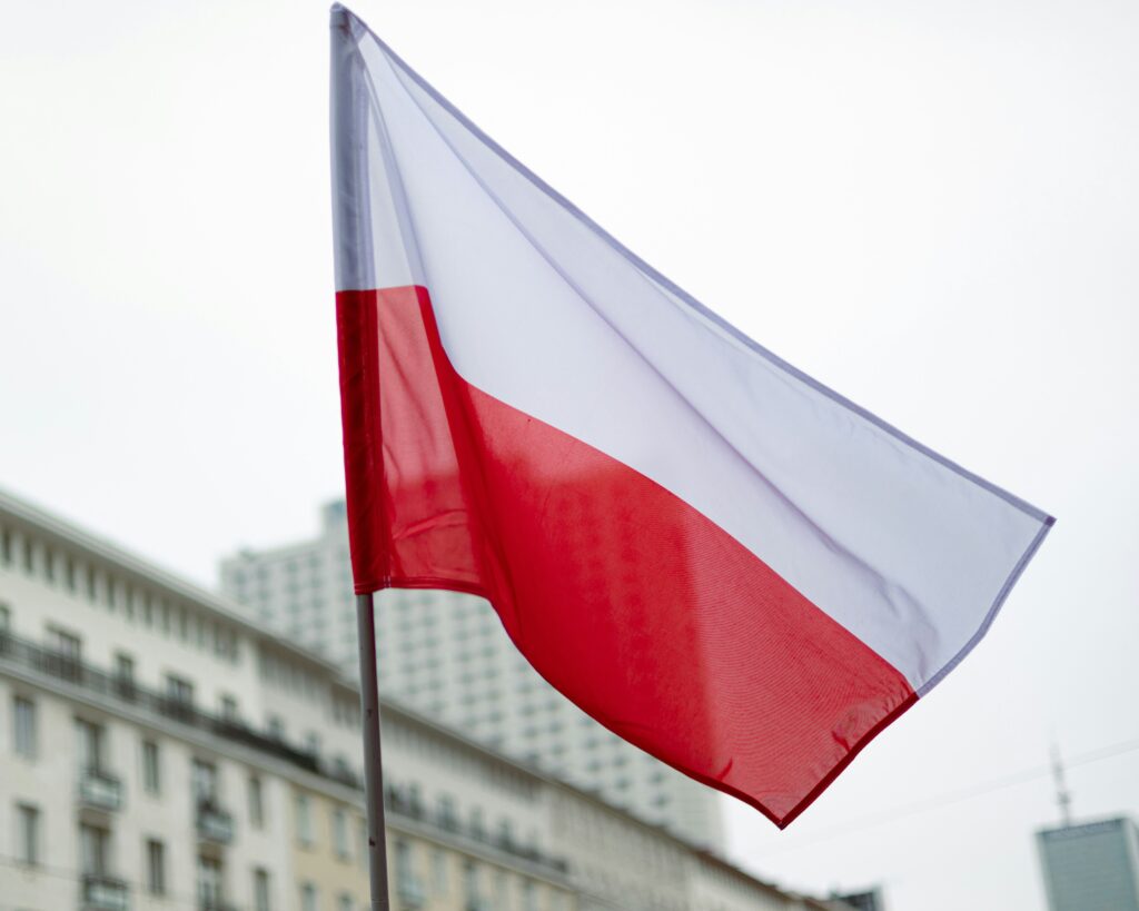 European perspectives on the Non-Proliferation Treaty: Poland
